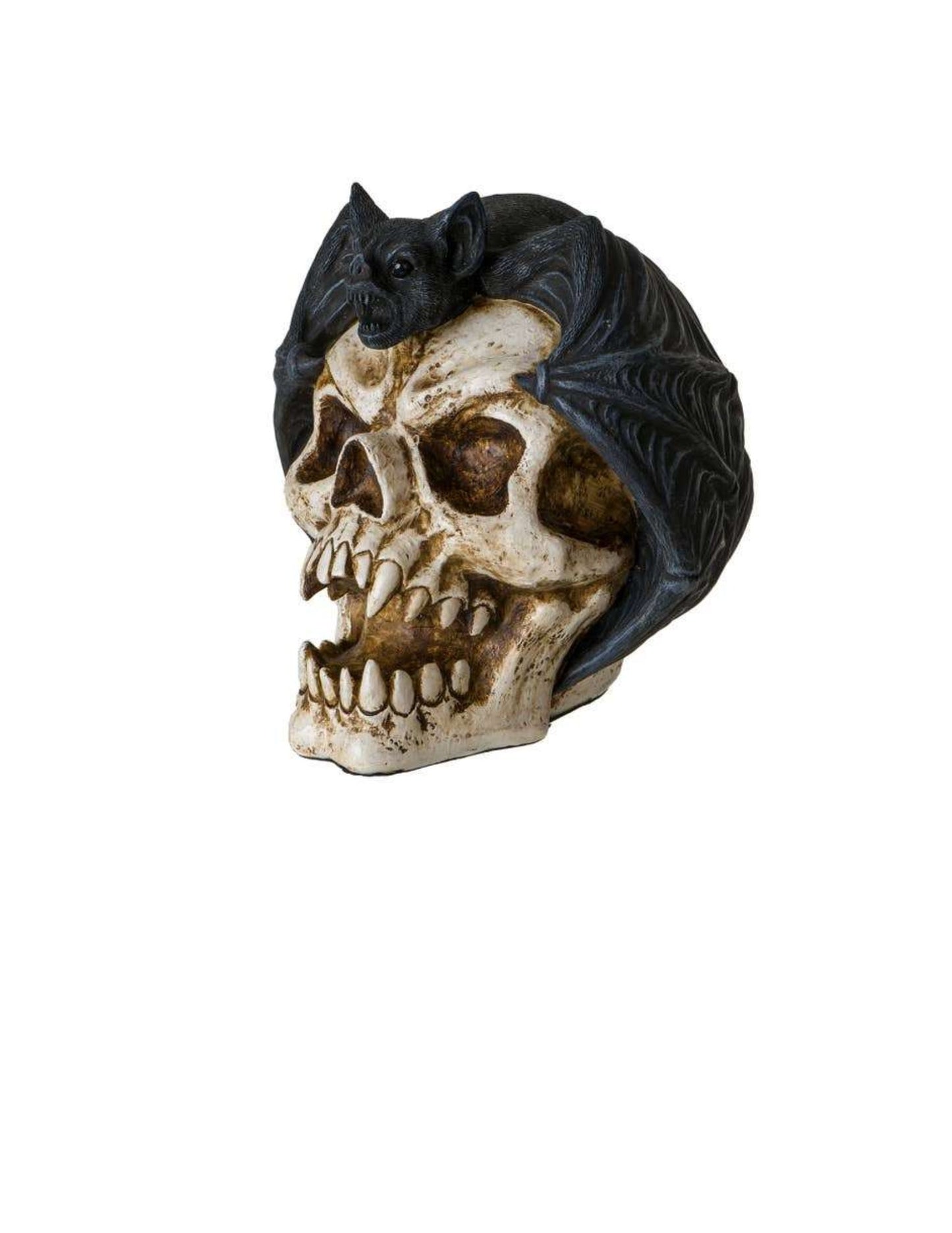 Bat and Skull