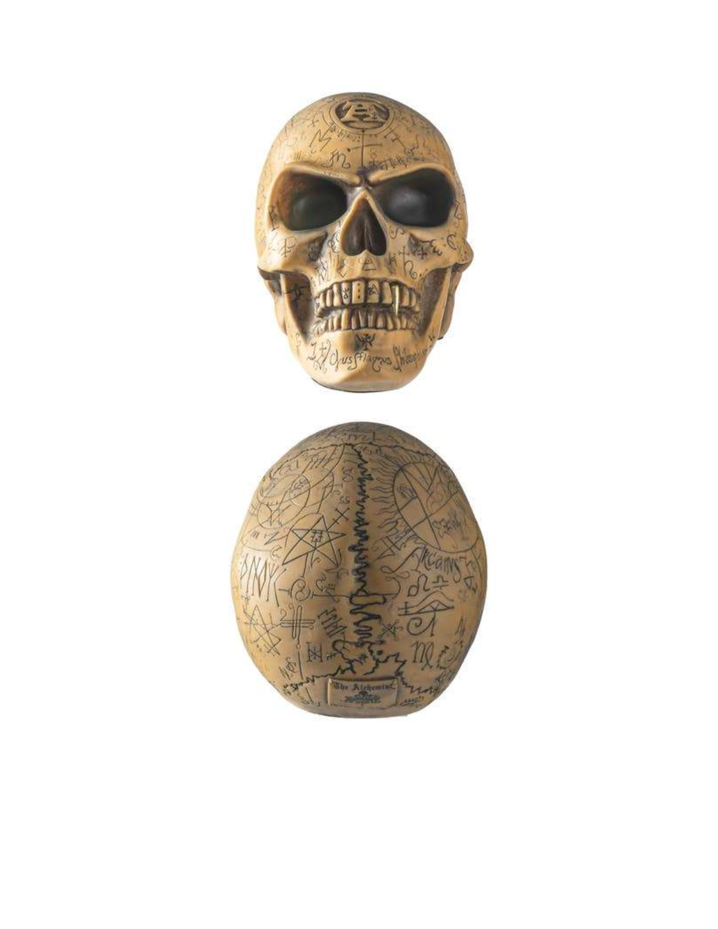 Omega Skull
