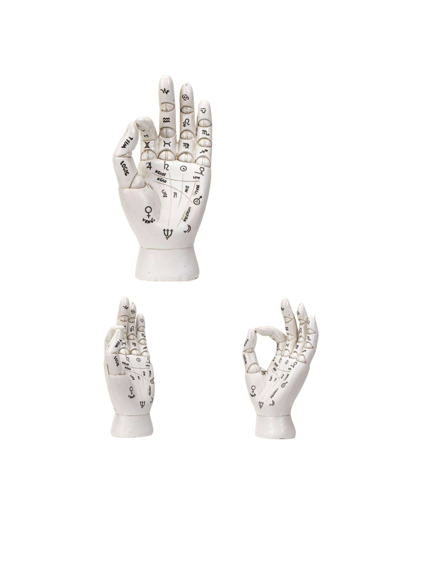 Palmistry Hand Ornament
