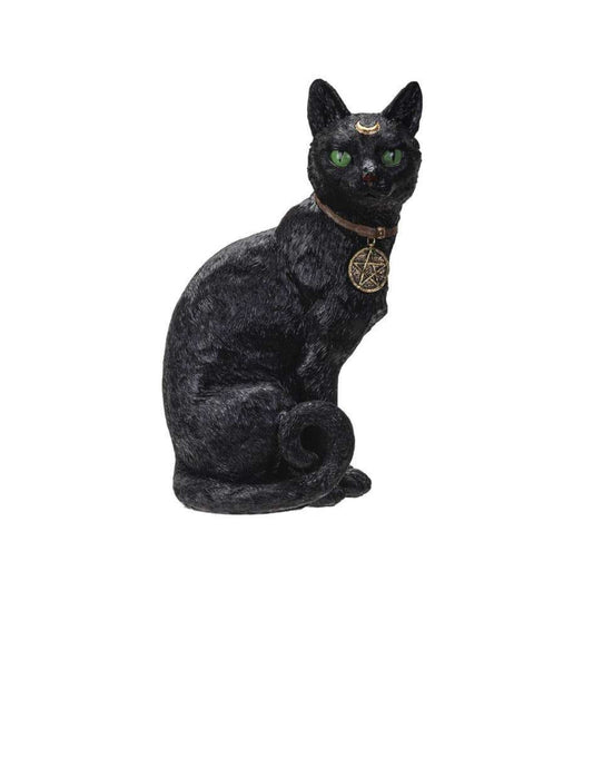 Wiccan Black Cat