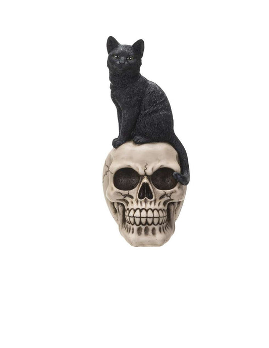 Black cat on skull