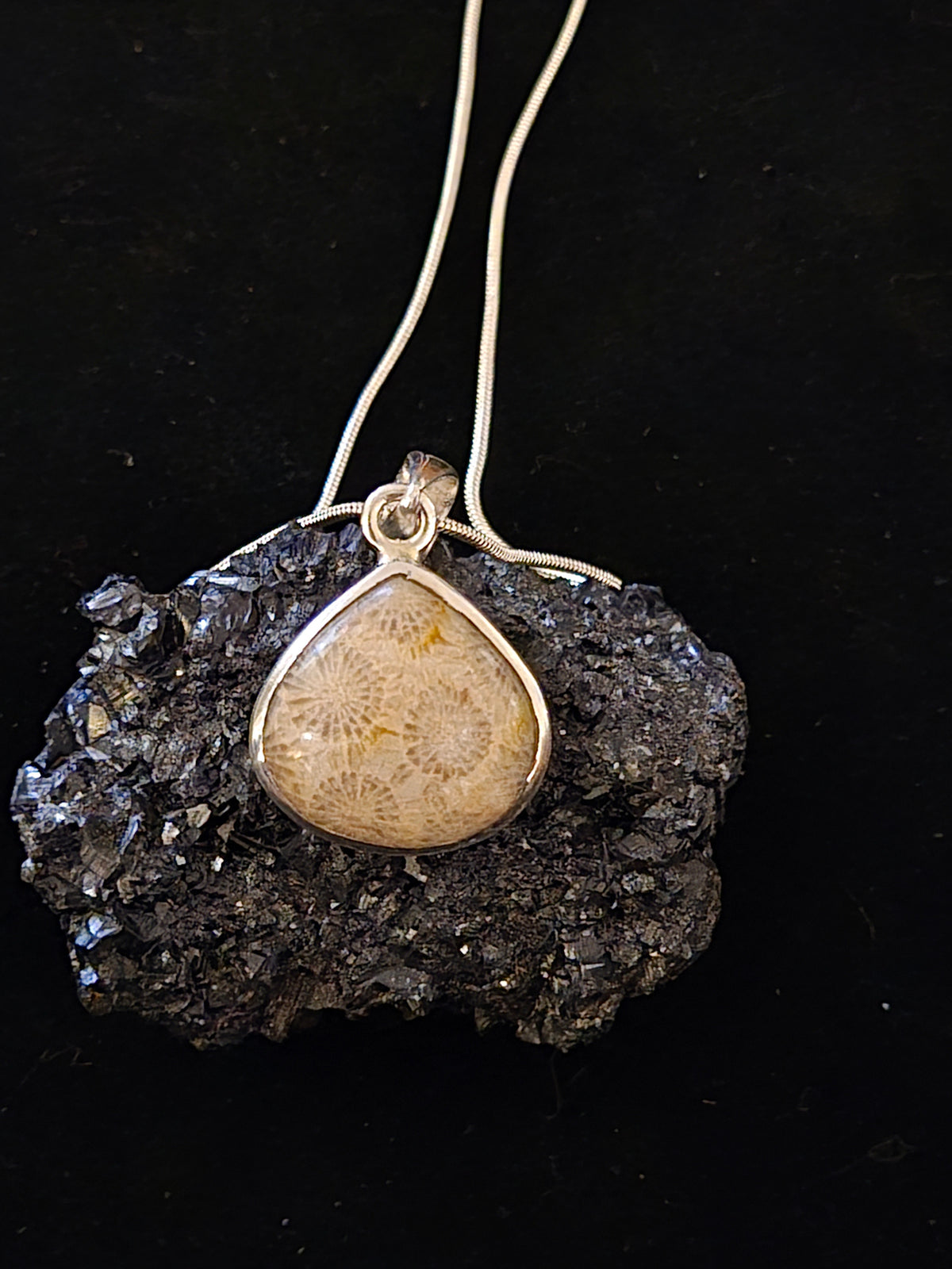 Coral Fossil Sterling Silver Necklace