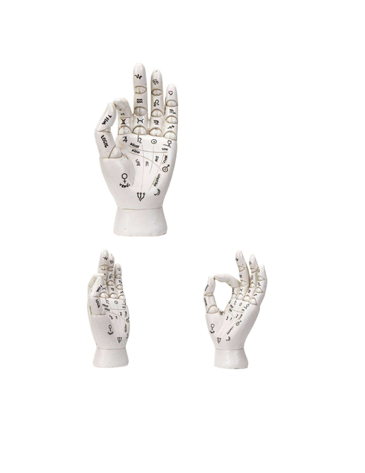 Palmistry Hand Ornament