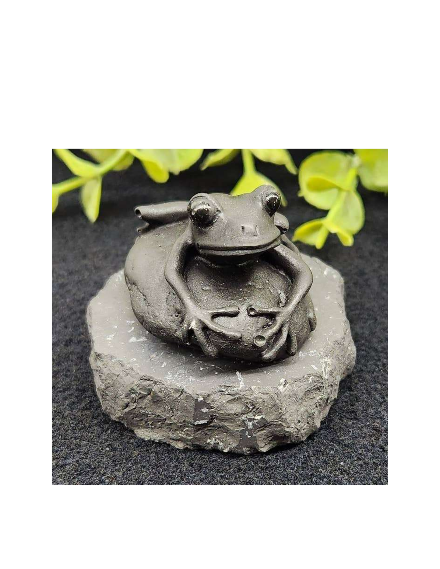 Shungite Figurine Frog On Stone
