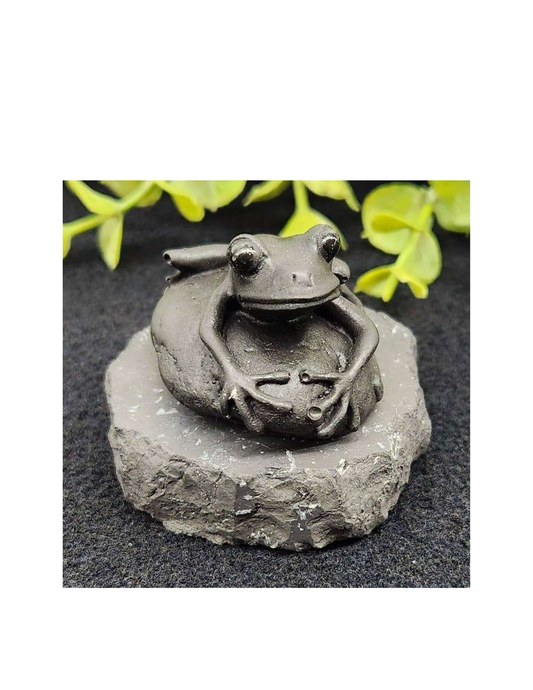 Shungite Figurine Frog On Stone