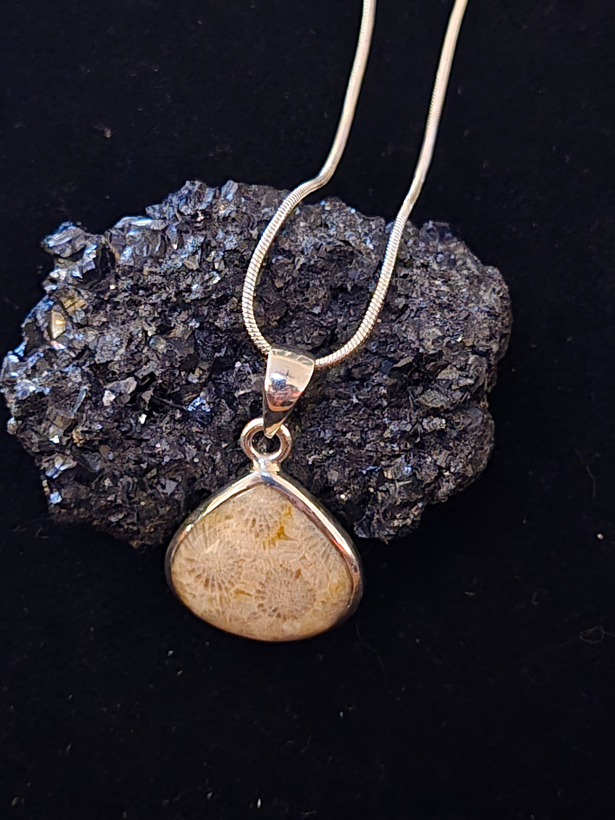 Coral Fossil Sterling Silver Necklace